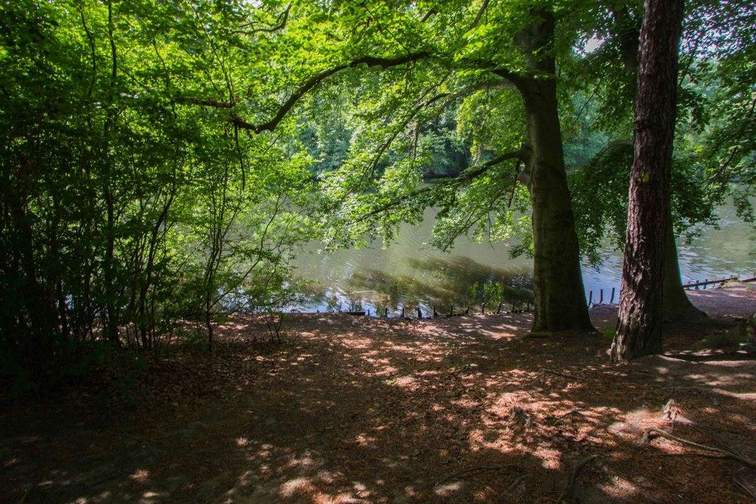 Umgebung, Fennsee