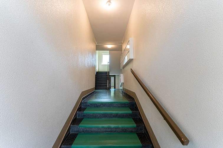 Entrance area of the house