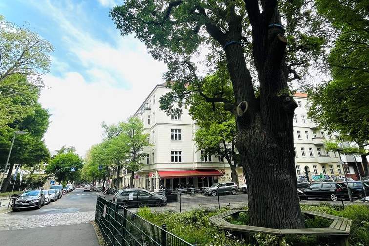 Blick zum Haus aus Richtung Volkspark Hasenheide