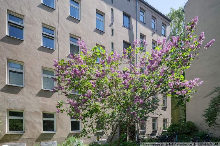 wohnung kaufen berlin wedding