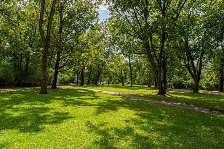 Surroundings