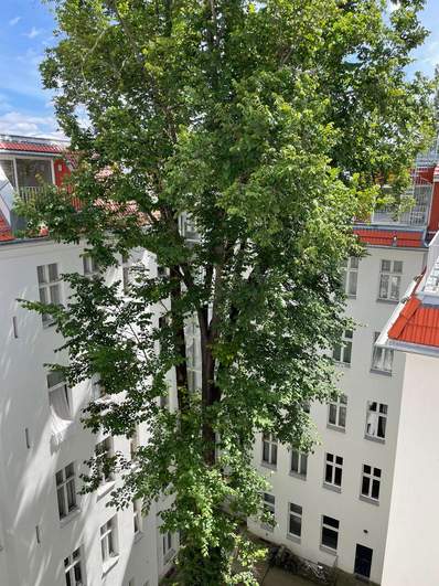 Blick in den Innenhof